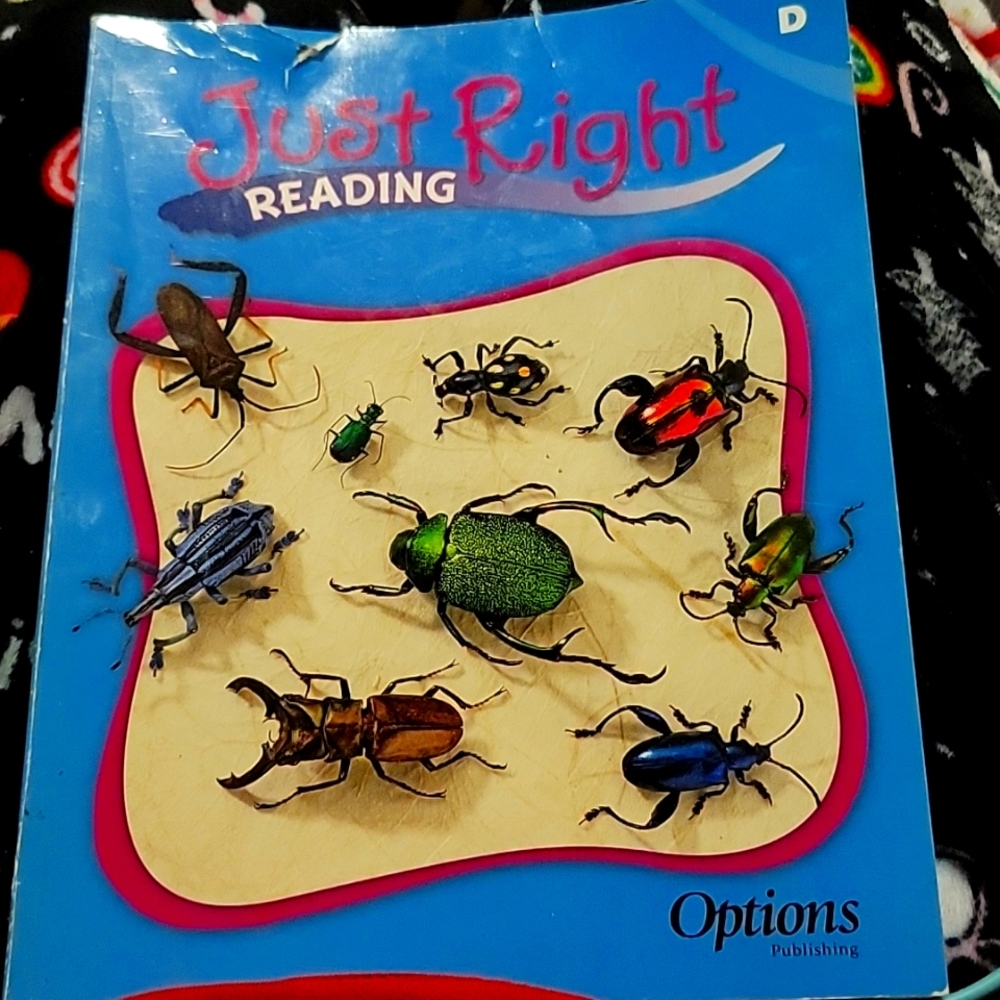 JUST RIGHT READING WORKBOOK LEVEL D LIKE NEW CONDITION GRADES 3-5